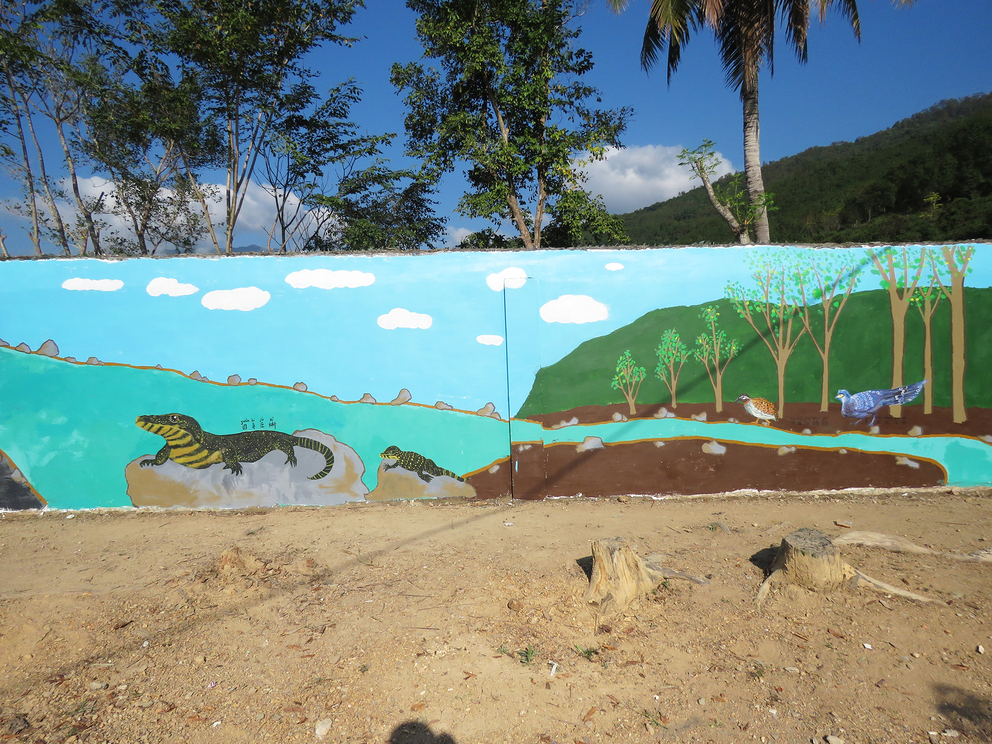 IMG 0356  Mural painting activity in Z village